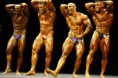/album/%e3%83%95%e3%82%a9%e3%83%88%e3%82%ae%e3%83%a3%e3%83%a9%e3%83%aa%e3%83%bc/bodybuilding-685087-640-jpg/